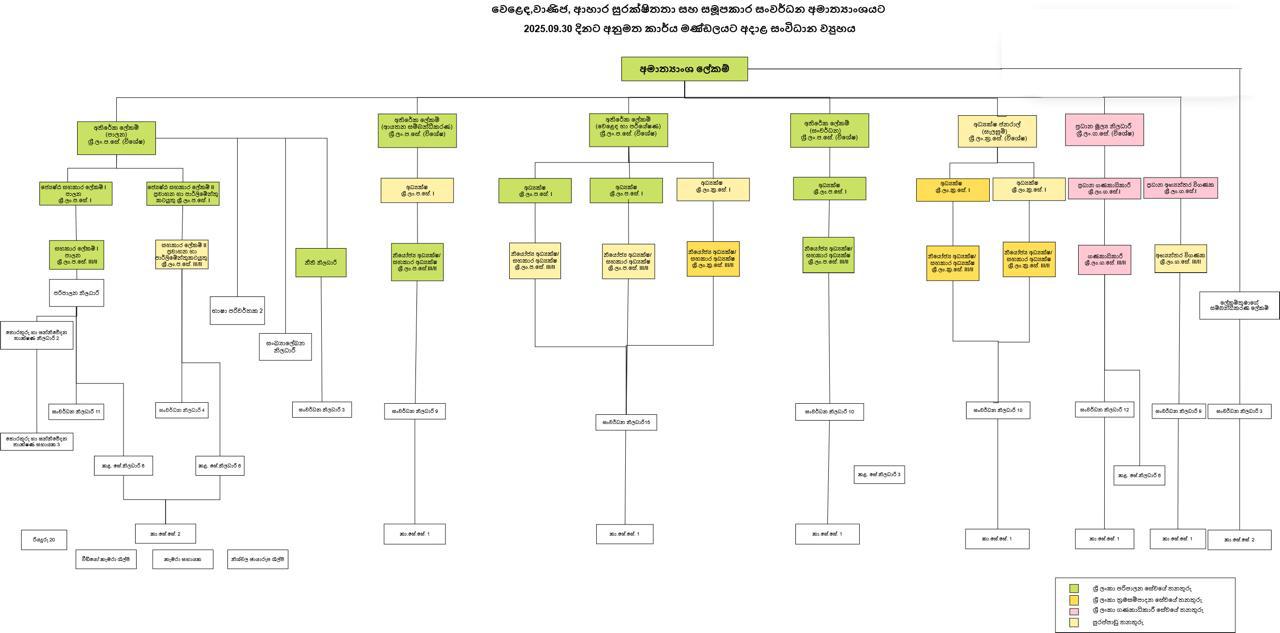 Ministry of Trade Organisation Structure